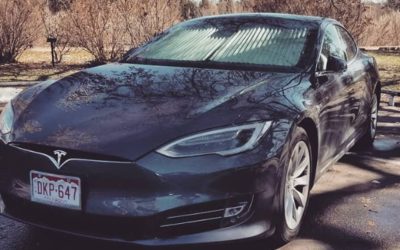 Your Guide to Finding the Best Sunshade for Car Longevity