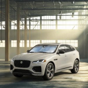 Jaguar Sun Shade